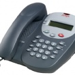 Avaya 2402